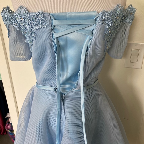 Stunning Cinderella Dress - Picture 3 of 3